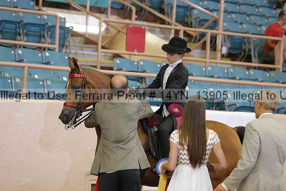 Proof 14yn_13905