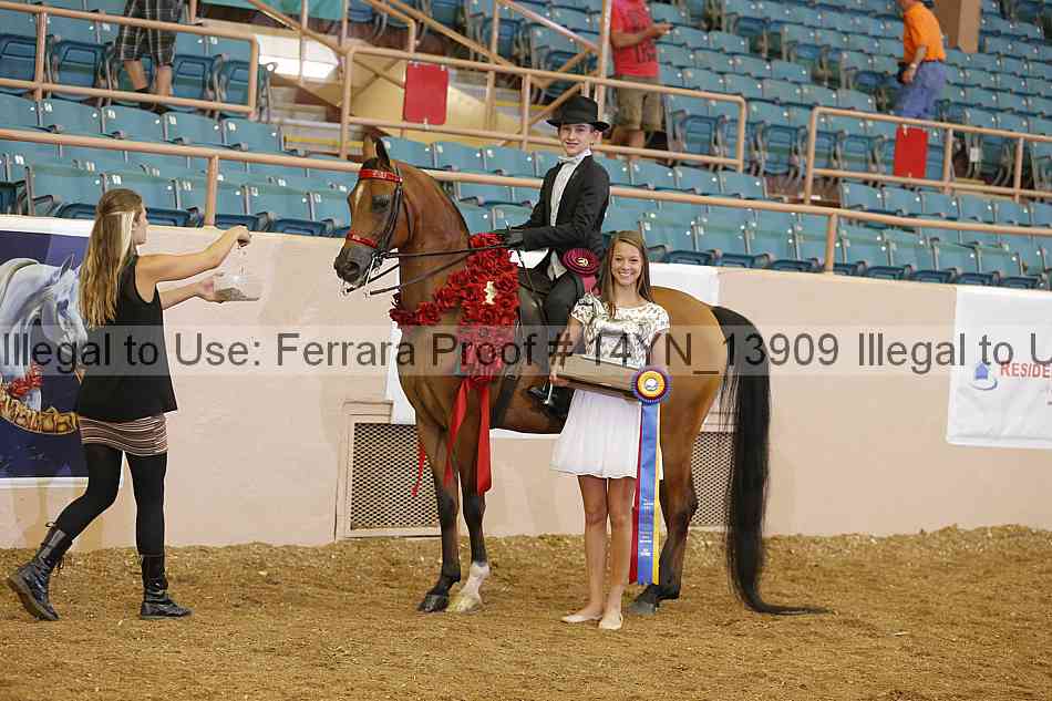 Proof 14yn_13909
