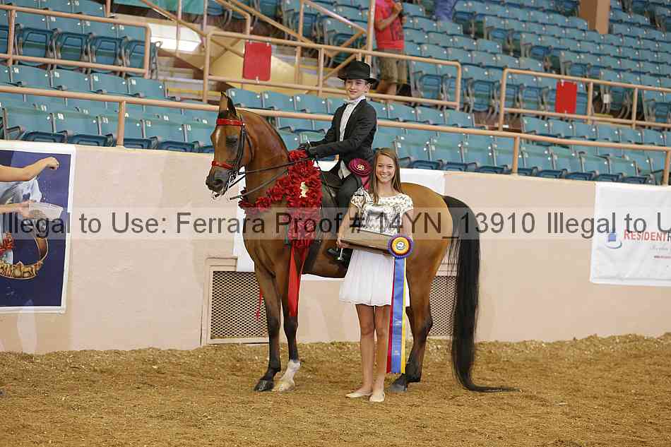 Proof 14yn_13910