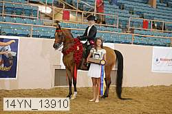 14yn_13910 proof