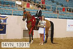 14yn_13911 proof
