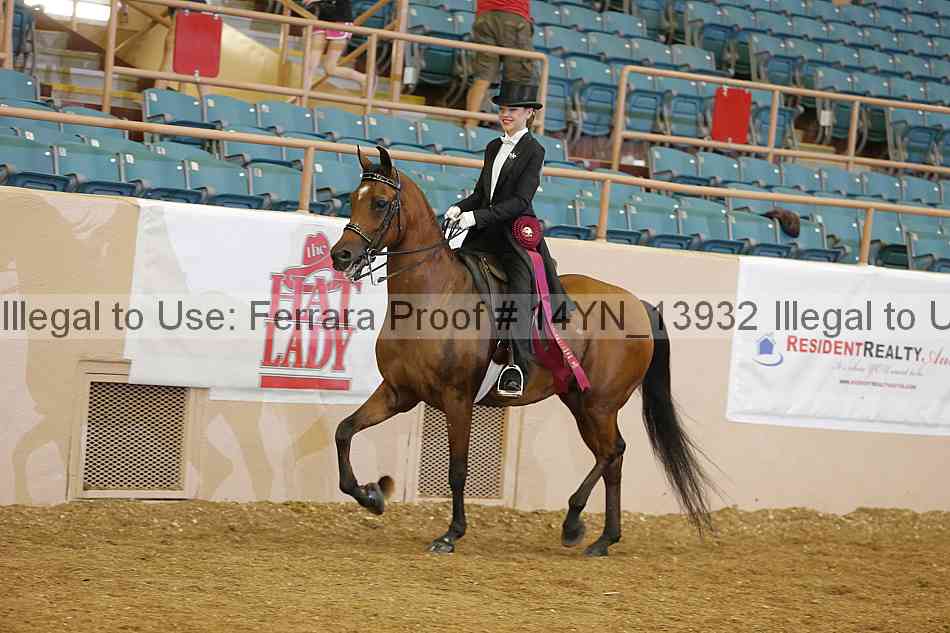 Proof 14yn_13932