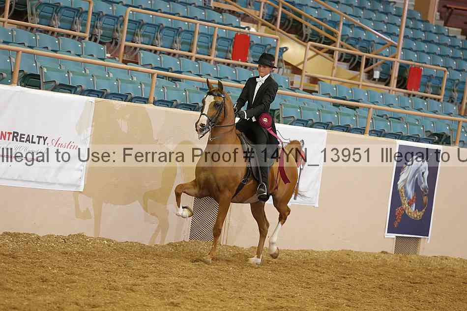 Proof 14yn_13951