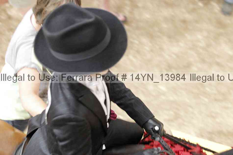 Proof 14yn_13984