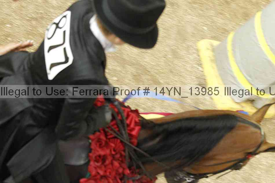Proof 14yn_13985