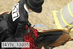 14yn_13985 proof