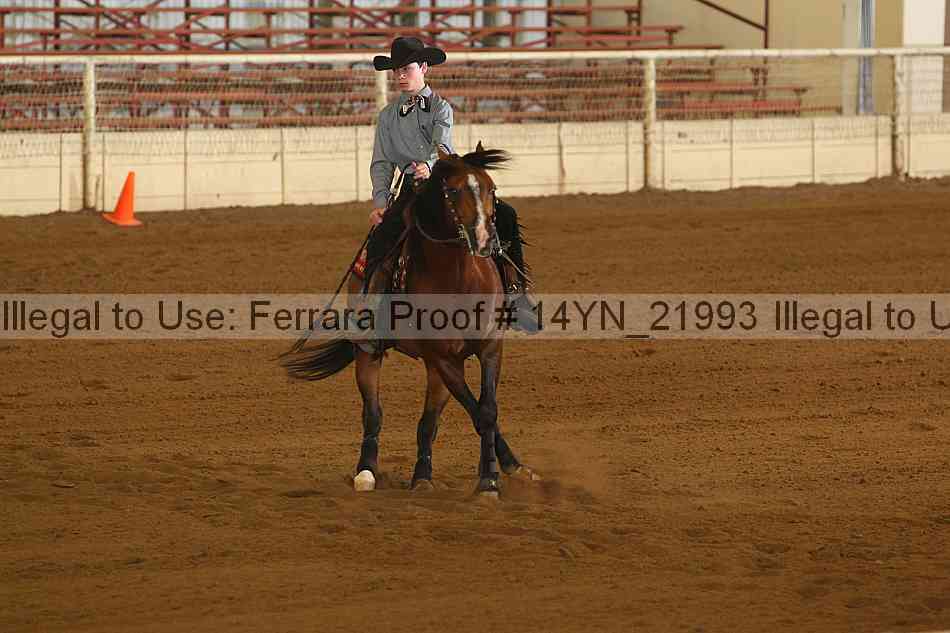 Proof 14yn_21993