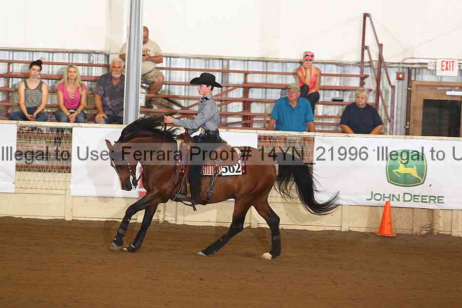Proof 14yn_21996
