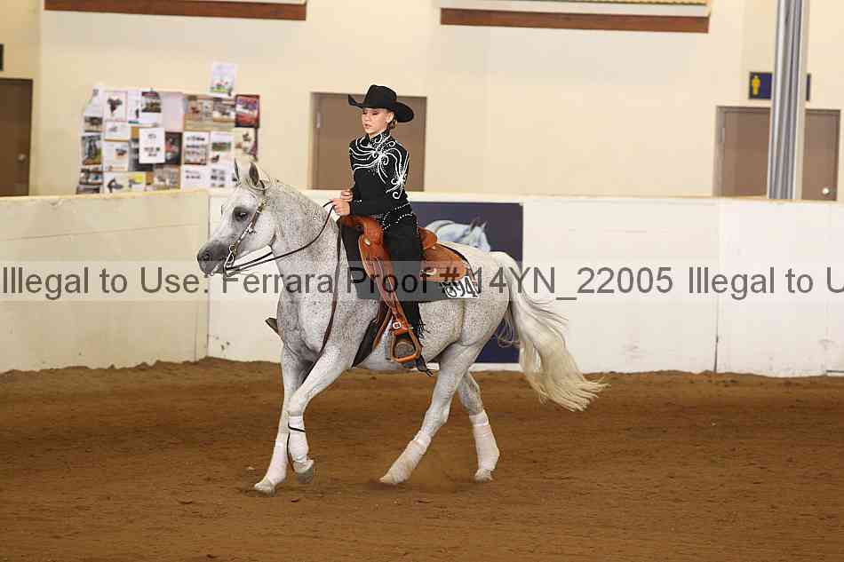 Proof 14yn_22005