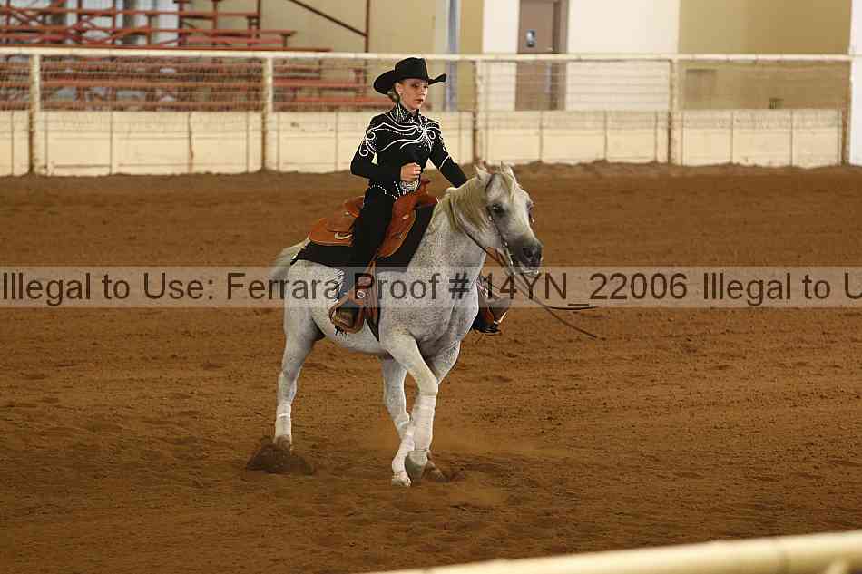 Proof 14yn_22006