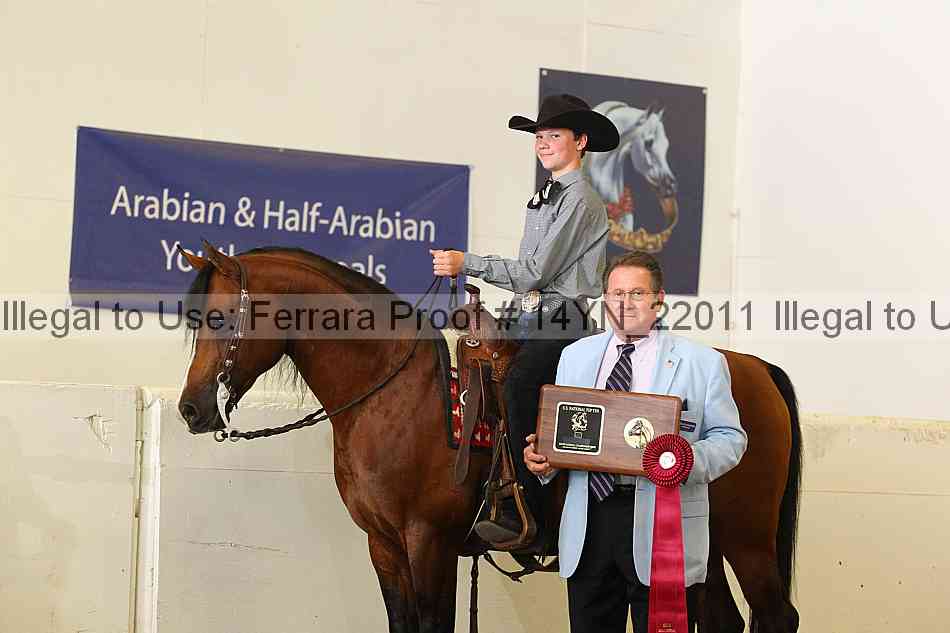 Proof 14yn_22011