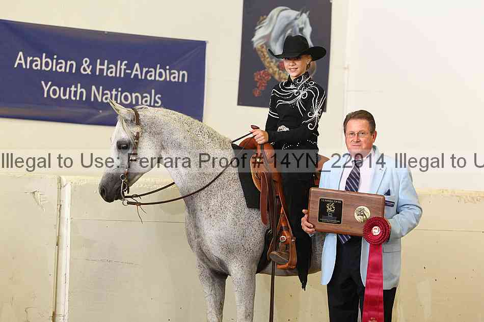 Proof 14yn_22014