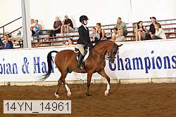 14yn_14961 proof