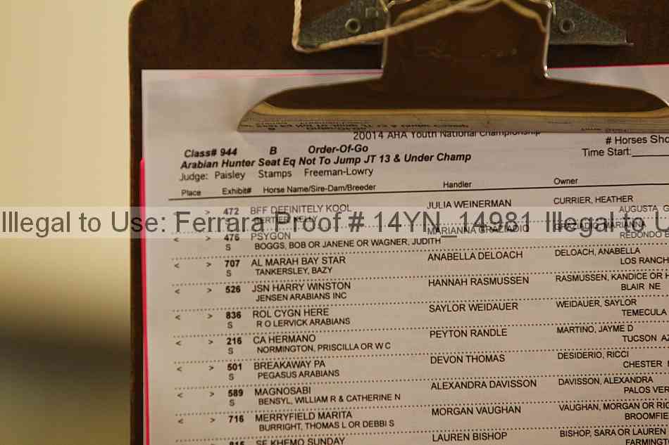 Proof 14yn_14981