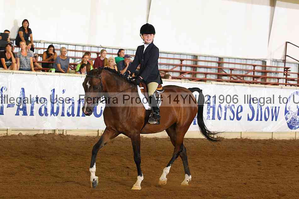 Proof 14yn_21906