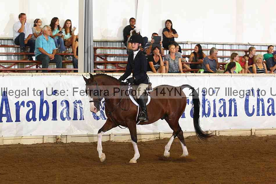Proof 14yn_21907