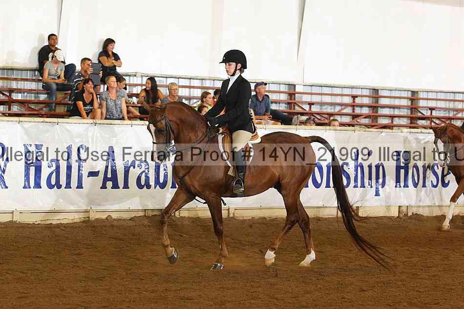 Proof 14yn_21909