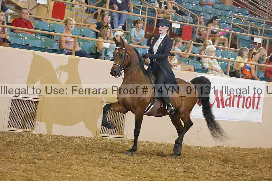 Proof 14yn_01131