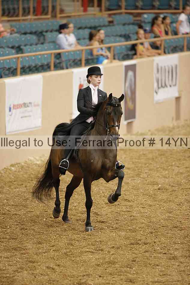 Proof 14yn_01133