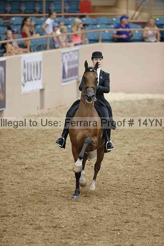 Proof 14yn_01135
