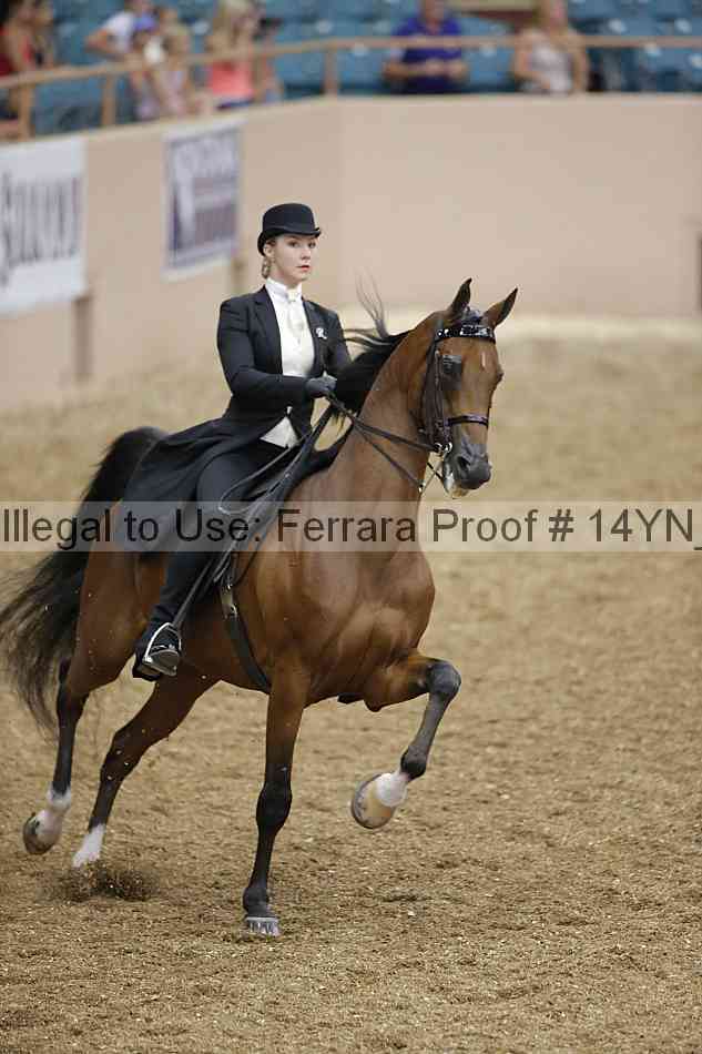 Proof 14yn_01136