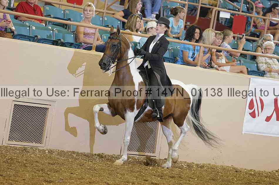 Proof 14yn_01138