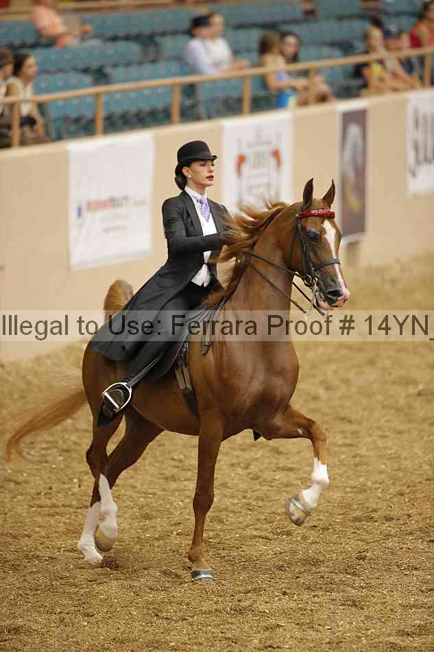 Proof 14yn_01141