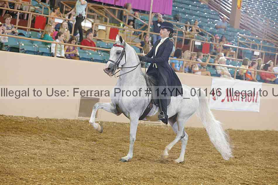 Proof 14yn_01146