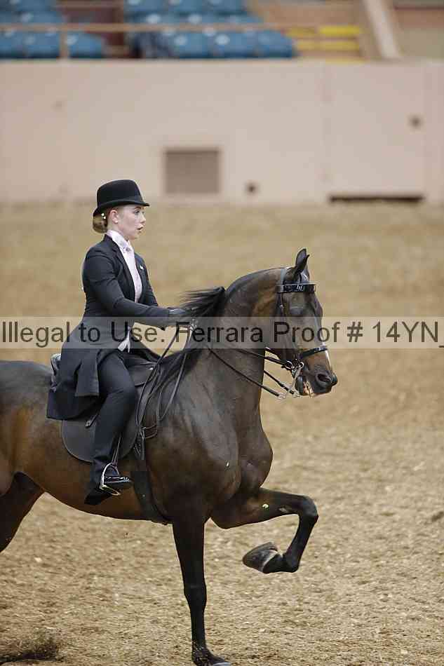 Proof 14yn_01148