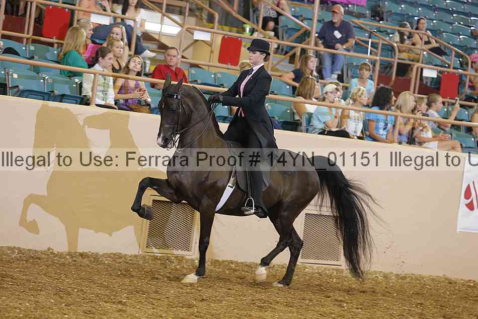 Proof 14yn_01151