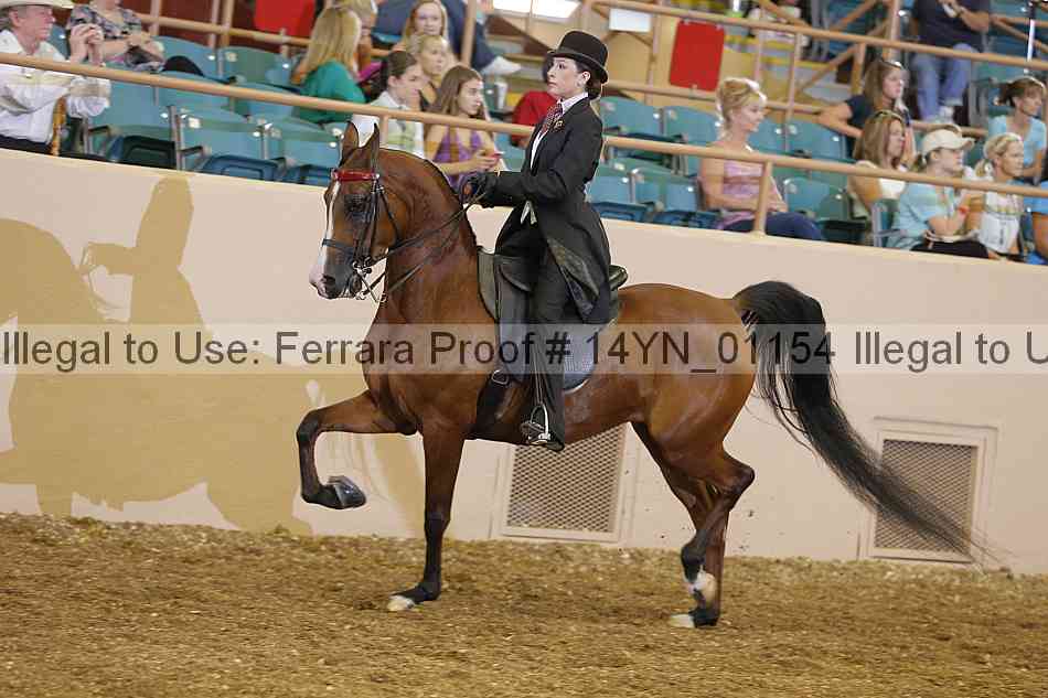 Proof 14yn_01154