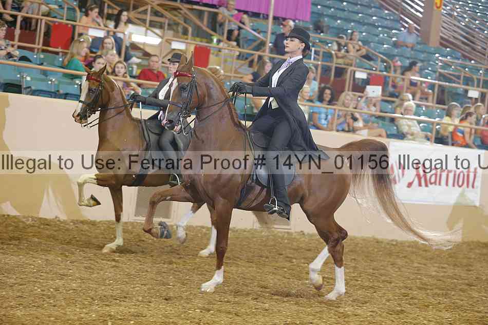Proof 14yn_01156