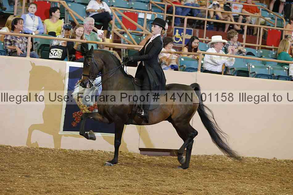Proof 14yn_01158