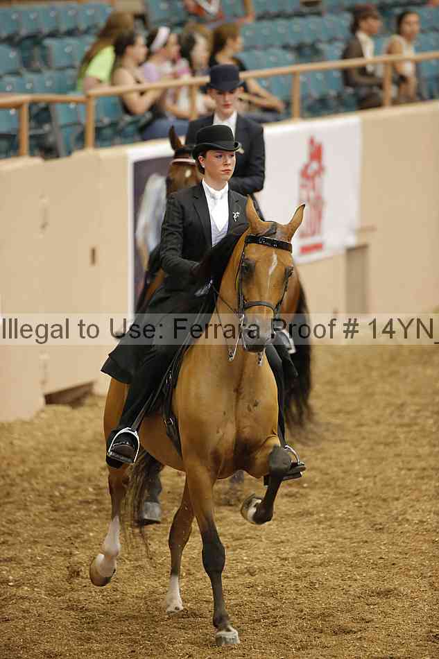Proof 14yn_01160