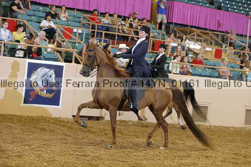 Proof 14yn_01161