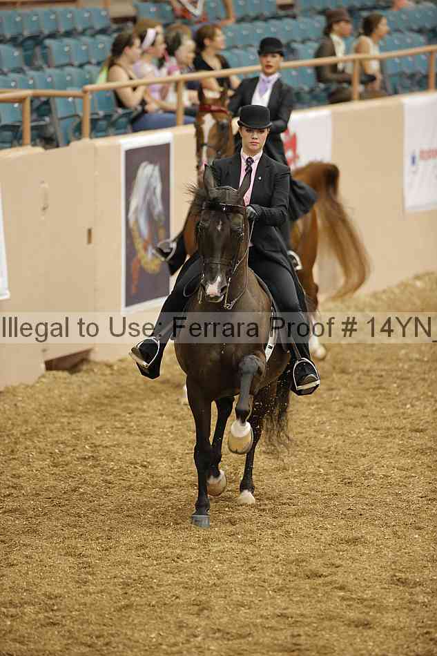 Proof 14yn_01162