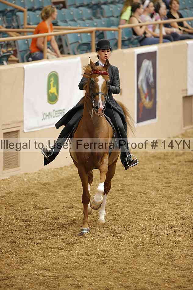 Proof 14yn_01165