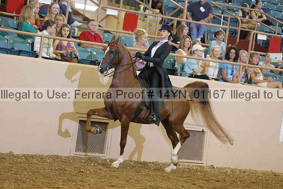 Proof 14yn_01167