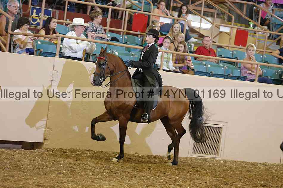 Proof 14yn_01169