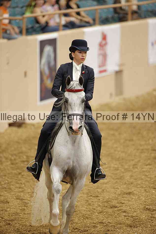 Proof 14yn_01171