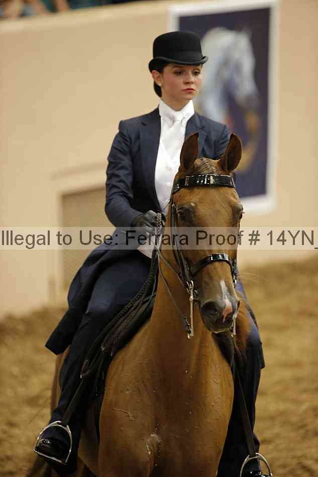 Proof 14yn_01175