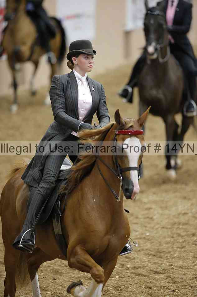 Proof 14yn_01176