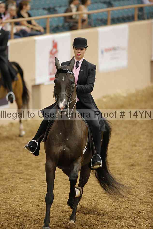 Proof 14yn_01178
