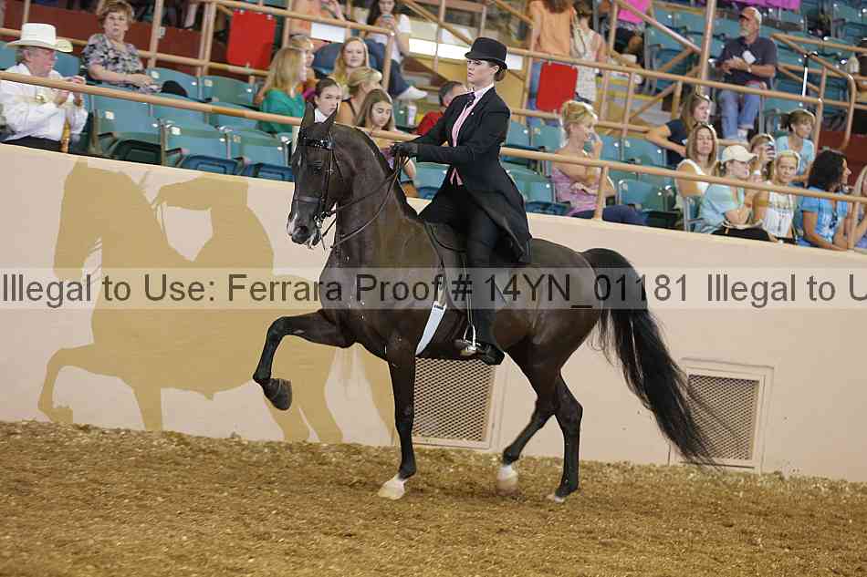 Proof 14yn_01181