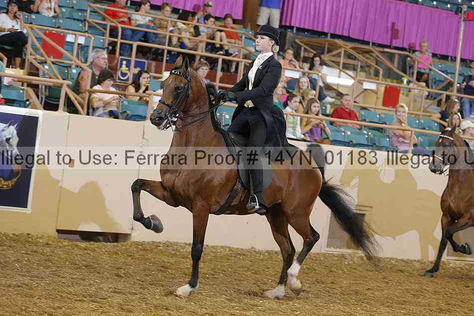 Proof 14yn_01183