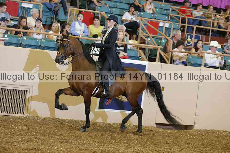 Proof 14yn_01184