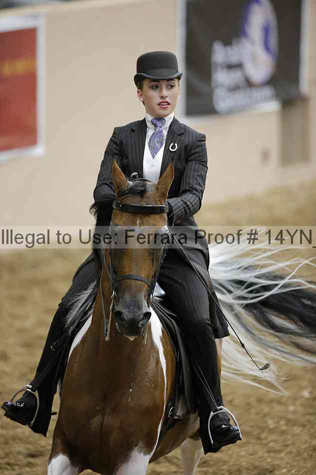 Proof 14yn_01185