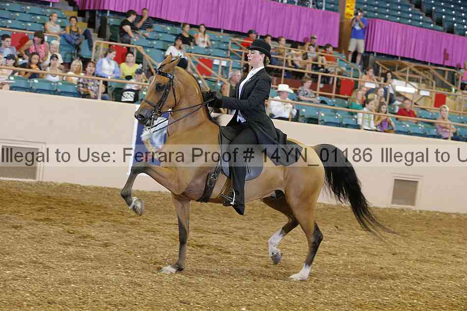 Proof 14yn_01186