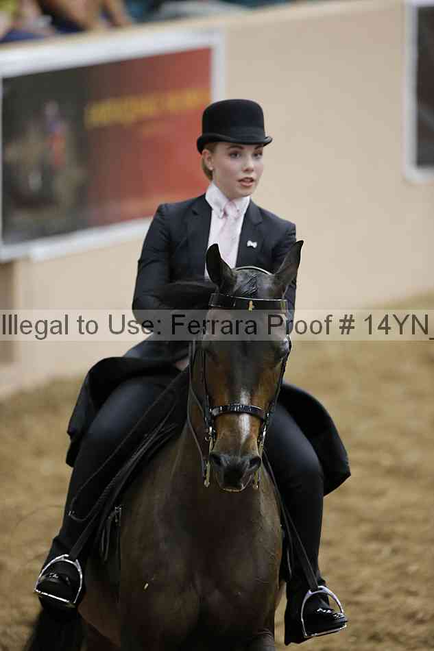 Proof 14yn_01188