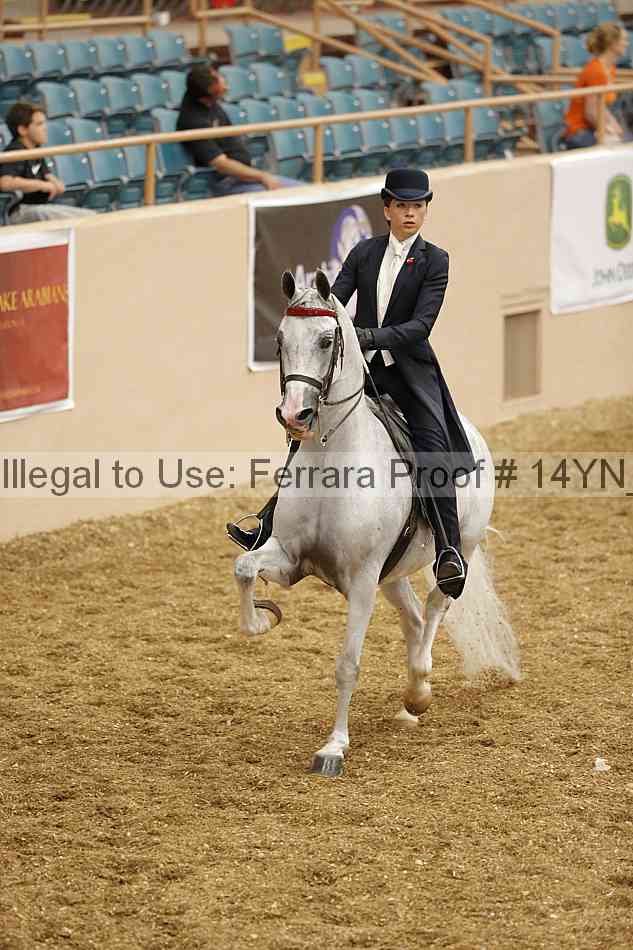 Proof 14yn_01190